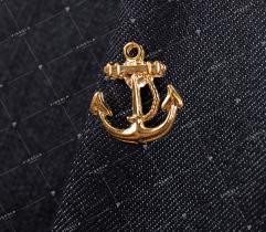Pin, anchor (2258)